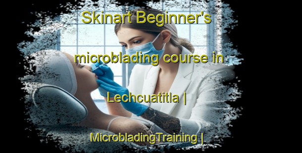 Skinart Beginner's microblading course in Lechcuatitla | MicrobladingTraining | MicrobladingClasses | SkinartTraining-Mexico